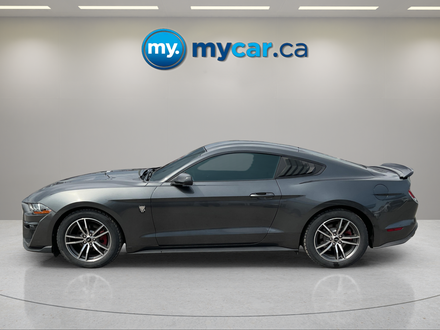 2019 FORD MUSTANG ECOBOOST PREMIUM — photo 3
