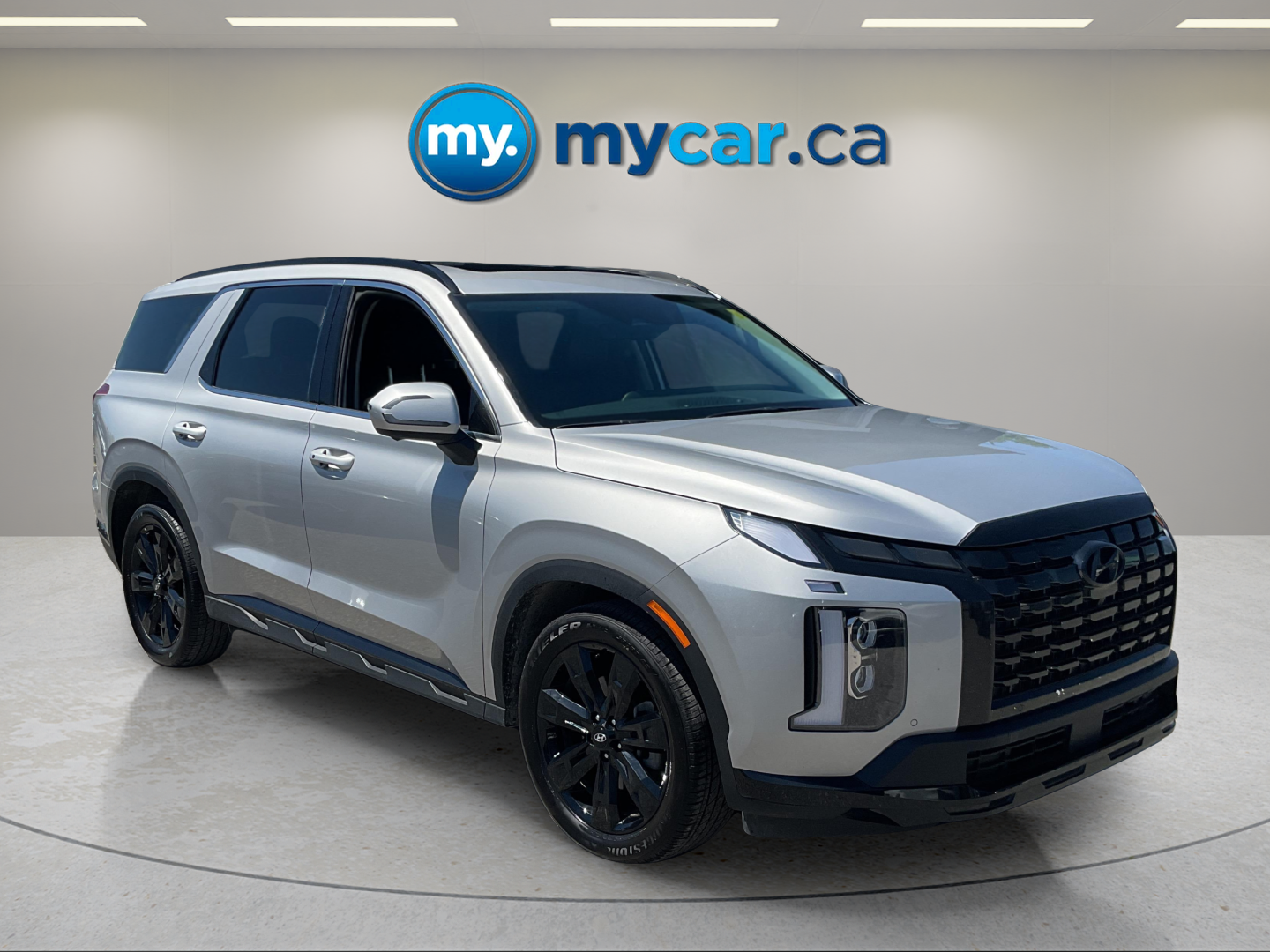 2025 HYUNDAI PALISADE URBAN — photo 8